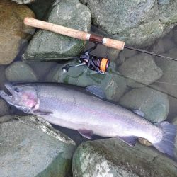 天竜川ルアーフライ専用区